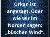 D03E82B8-6131-481C-BADE-13CE8516AF1E.jpeg