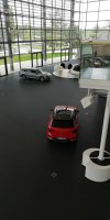 IMG_20220713_094638.jpg