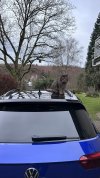 IMG_3596.jpeg