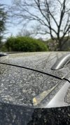 IMG_3955.jpeg