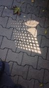 Umfeldbeleuchtung 01.jpg