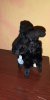 IMG_20190116_183251.jpg