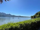 IMG_1569.jpg
