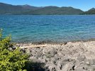 IMG_1572.jpg