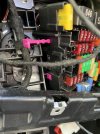 IMG_7933.jpeg