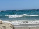 IMG_2236.jpg