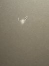 IMG_4038_.jpeg