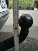 IMG_20190615_160556.jpg