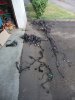 DSCF7620.JPG